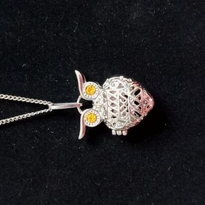 Stainless Owl Aromatherapy Necklace